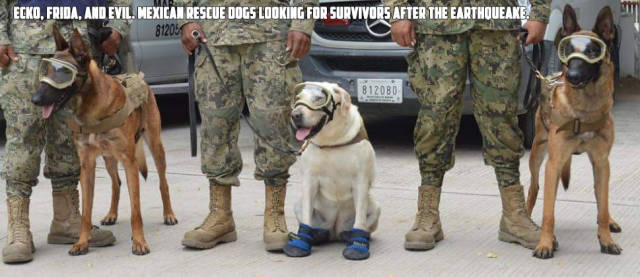 morning picdump 51 pics 17.html - 51 HD Photos | Premium Gallery 2017