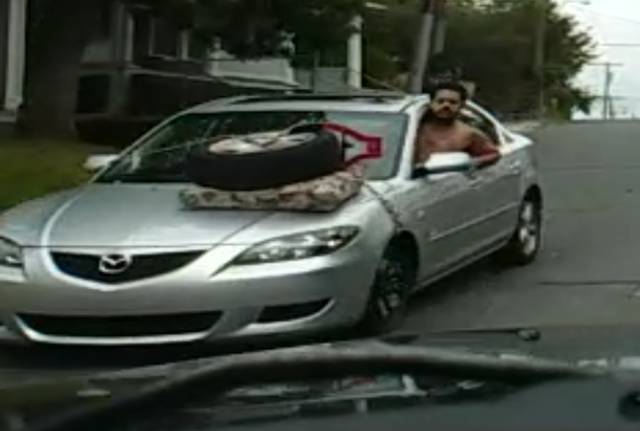 morning picdump 51 pics 17.html - 51 HD Photos | Premium Gallery 2017