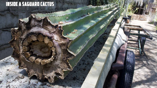 morning picdump 51 pics 17.html - 51 HD Photos | Premium Gallery 2017