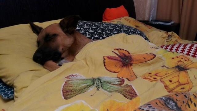 daily picdump 99 pics 16.html - 99 HD Photos | Premium Gallery 2017