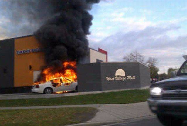 daily picdump 99 pics 16.html - 99 HD Photos | Premium Gallery 2017