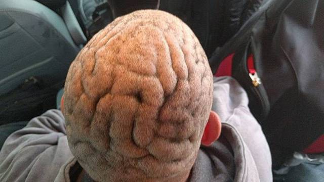 daily picdump 99 pics 16.html - 99 HD Photos | Premium Gallery 2017