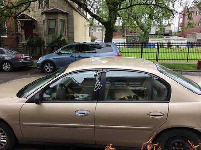 daily picdump 99 pics 16.html - 99 HD Photos | Premium Gallery 2017