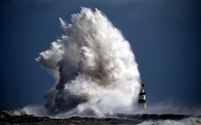 daily picdump 99 pics 16.html - 99 HD Photos | Premium Gallery 2017