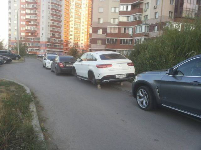 daily picdump 99 pics 16.html - 99 HD Photos | Premium Gallery 2017