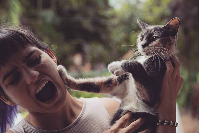 daily picdump 99 pics 16.html - 99 HD Photos | Premium Gallery 2017