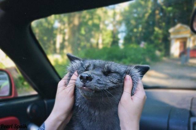 daily picdump 99 pics 16.html - 99 HD Photos | Premium Gallery 2017