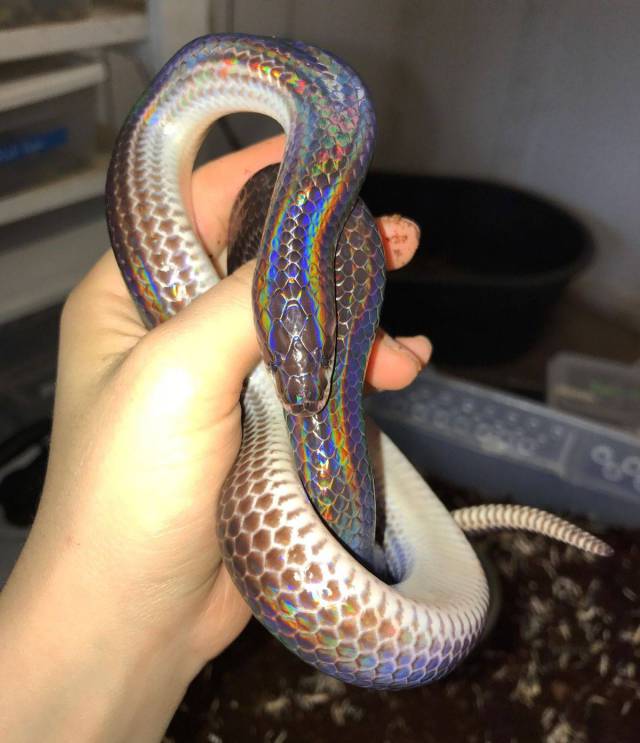 daily picdump 99 pics 16.html - 99 HD Photos | Premium Gallery 2017