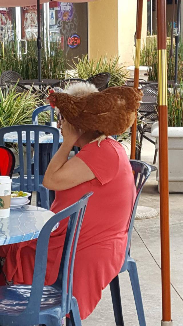 daily picdump 99 pics 16.html - 99 HD Photos | Premium Gallery 2017