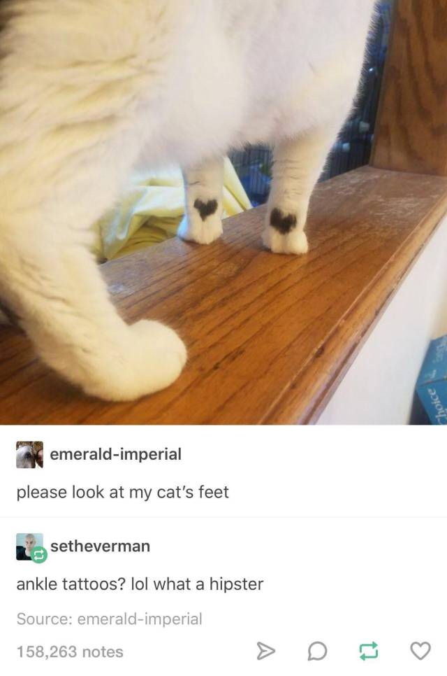 daily picdump 99 pics 16.html - 99 HD Photos | Premium Gallery 2017