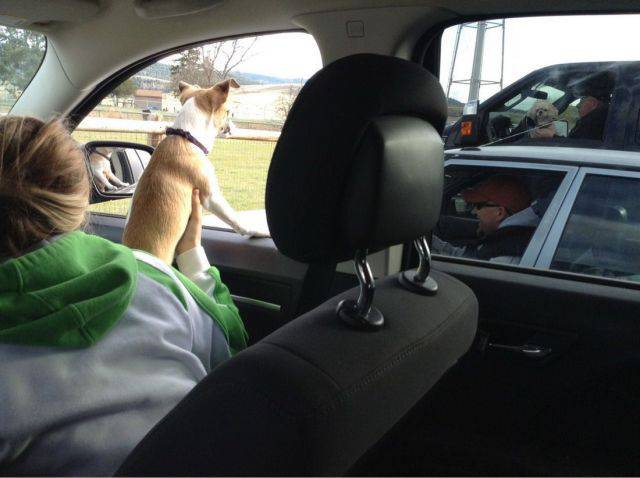 morning picdump 50 pics 17.html - 50 HD Photos | Premium Gallery 2017