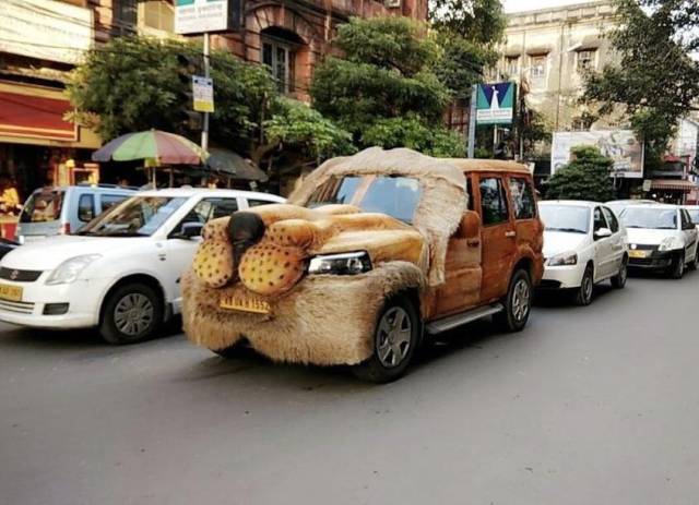 morning picdump 50 pics 17.html - 50 HD Photos | Premium Gallery 2017