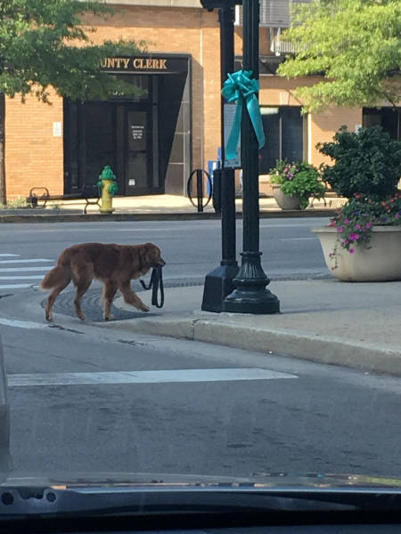 morning picdump 50 pics 17.html - 50 HD Photos | Premium Gallery 2017