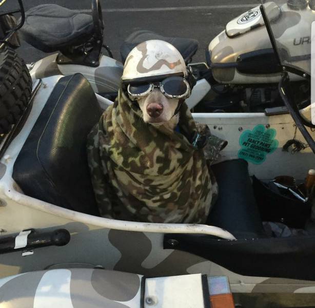 morning picdump 50 pics 17.html - 50 HD Photos | Premium Gallery 2017