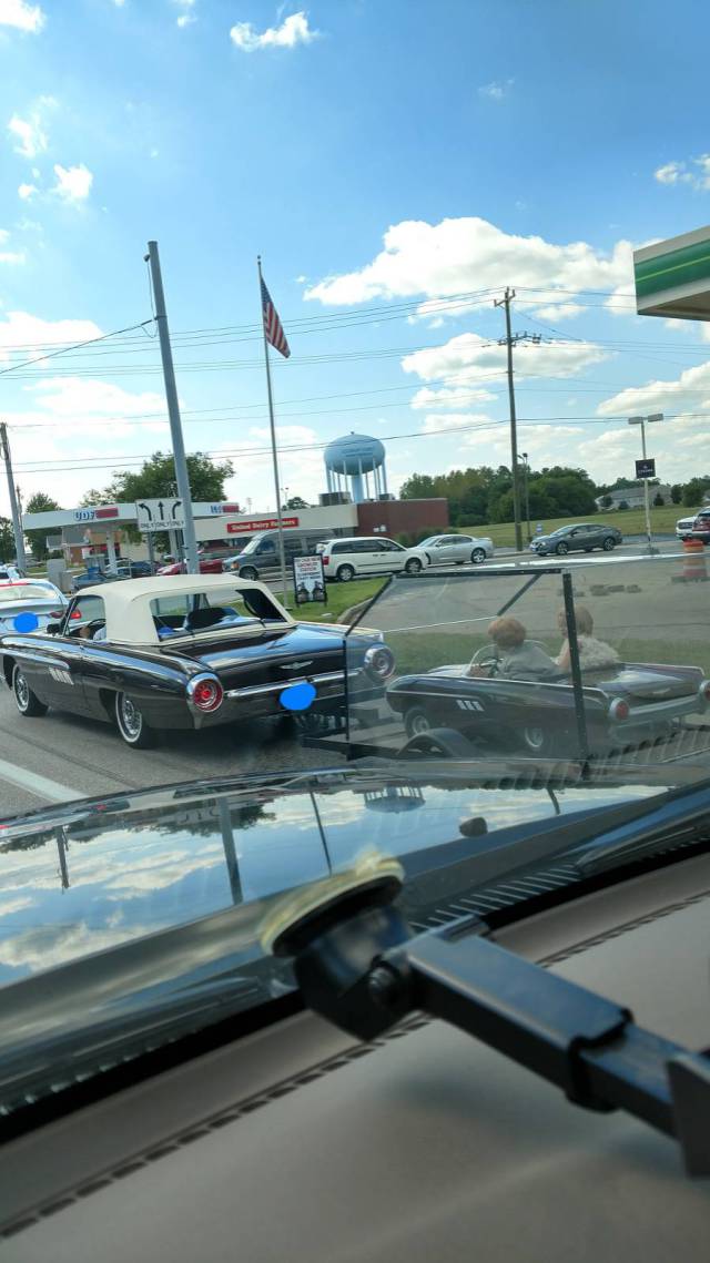 morning picdump 50 pics 17.html - 50 HD Photos | Premium Gallery 2017