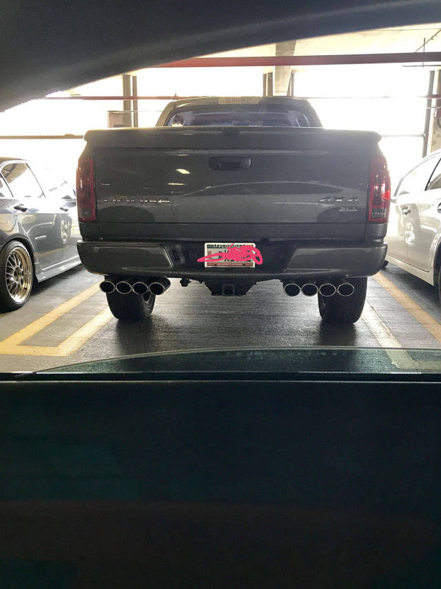 morning picdump 50 pics 17.html - 50 HD Photos | Premium Gallery 2017