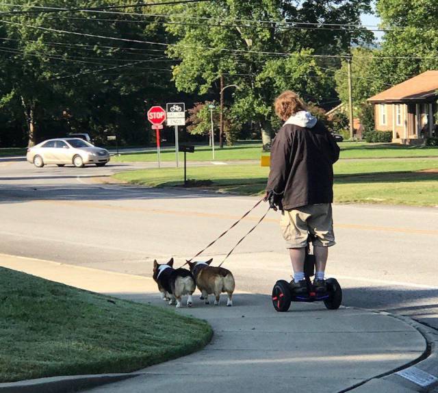 Daily Picdump [WEEKEND EDITION]