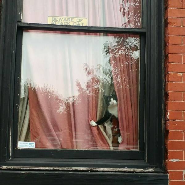 Daily Picdump [WEEKEND EDITION]