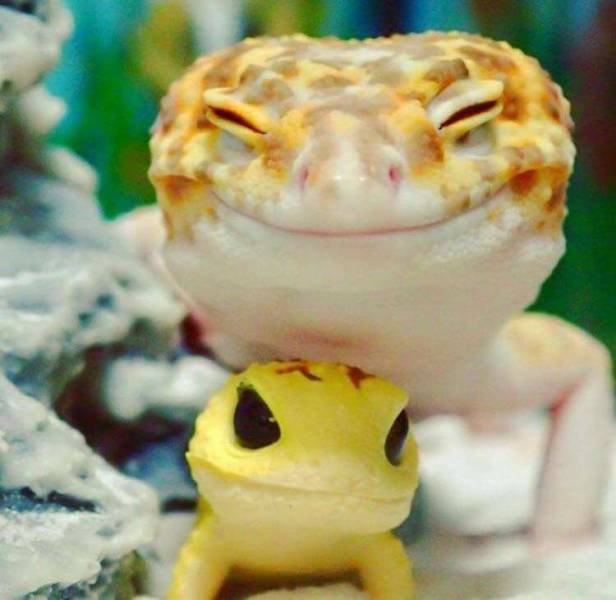 Daily Picdump [WEEKEND EDITION]