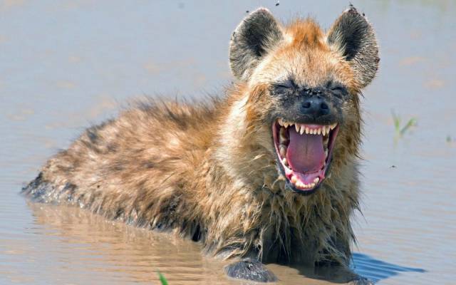 Daily Picdump [WEEKEND EDITION]