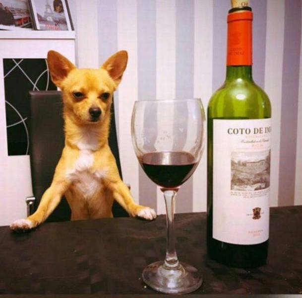 Daily Picdump [WEEKEND EDITION]