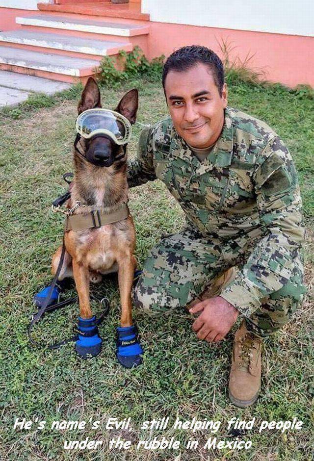 Daily Picdump [WEEKEND EDITION]