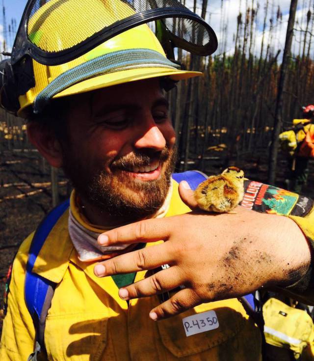 Daily Picdump [WEEKEND EDITION]