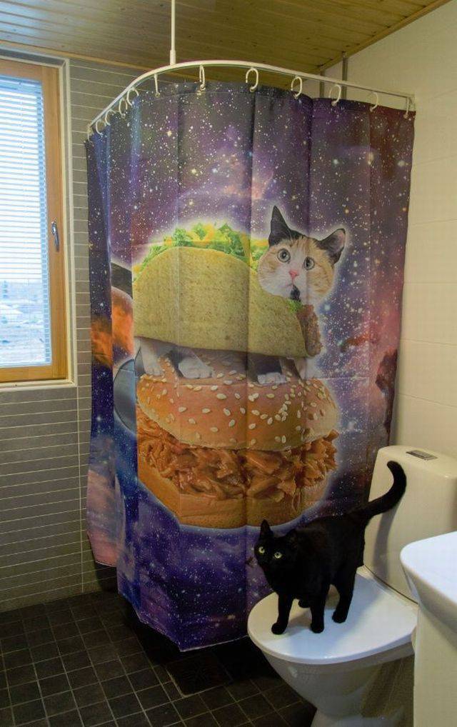 Daily Picdump [WEEKEND EDITION]