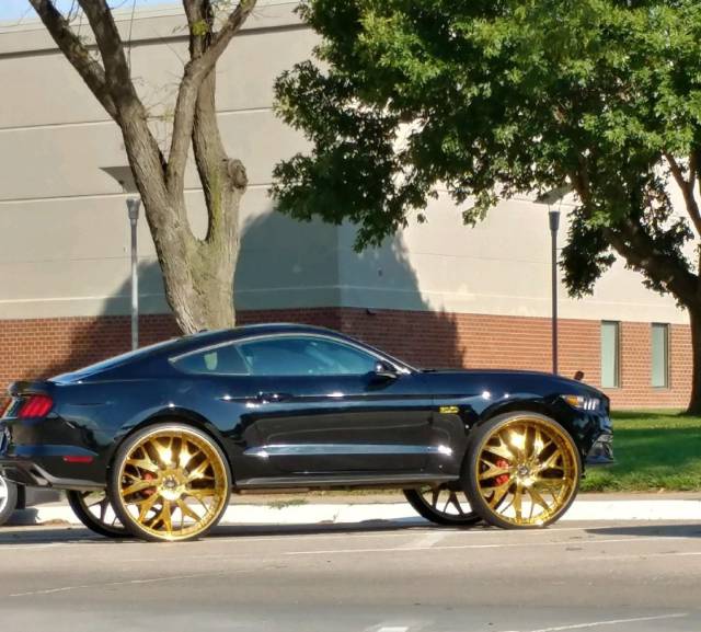 daily picdump 92 pics 20.html - 92 HD Photos | Premium Gallery 2017