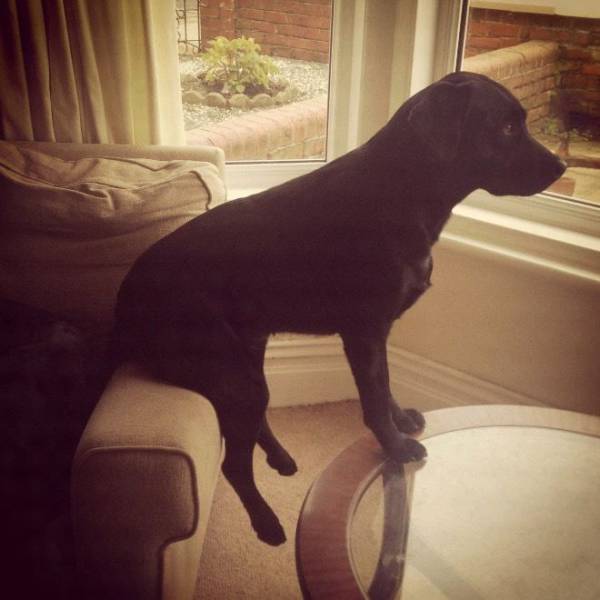 daily picdump 92 pics 20.html - 92 HD Photos | Premium Gallery 2017