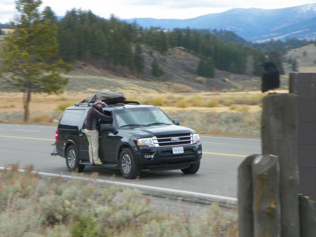 daily picdump 92 pics 20.html - 92 HD Photos | Premium Gallery 2017