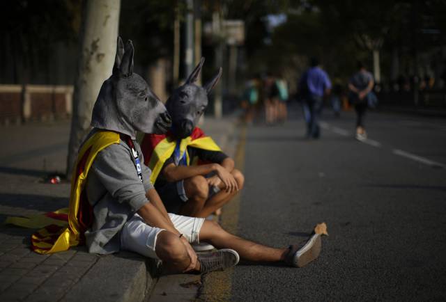 daily picdump 92 pics 20.html - 92 HD Photos | Premium Gallery 2017