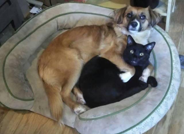 daily picdump 92 pics 20.html - 92 HD Photos | Premium Gallery 2017