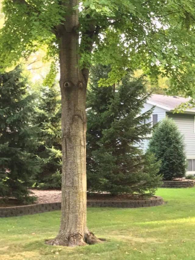 daily picdump 92 pics 20.html - 92 HD Photos | Premium Gallery 2017