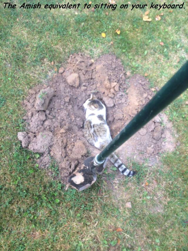 daily picdump 92 pics 20.html - 92 HD Photos | Premium Gallery 2017