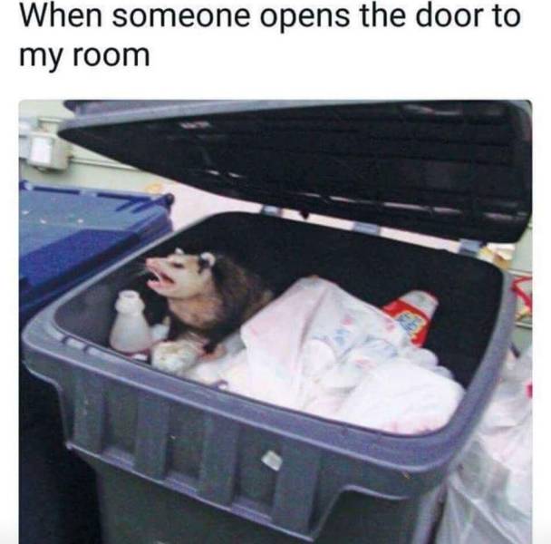 funny picdump 56 pics 22.html - 56 HD Photos | Premium Gallery 2017