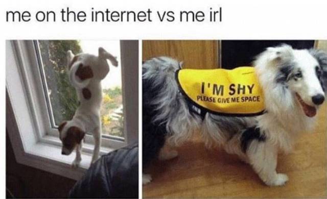 funny picdump 56 pics 22.html - 56 HD Photos | Premium Gallery 2017