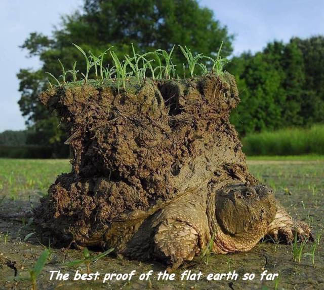 funny picdump 56 pics 22.html - 56 HD Photos | Premium Gallery 2017