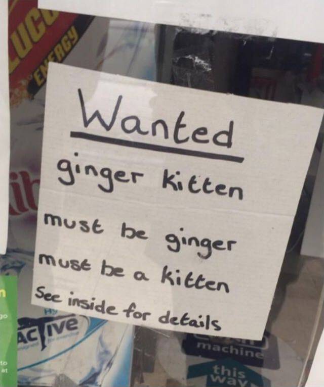 funny picdump 56 pics 22.html - 56 HD Photos | Premium Gallery 2017