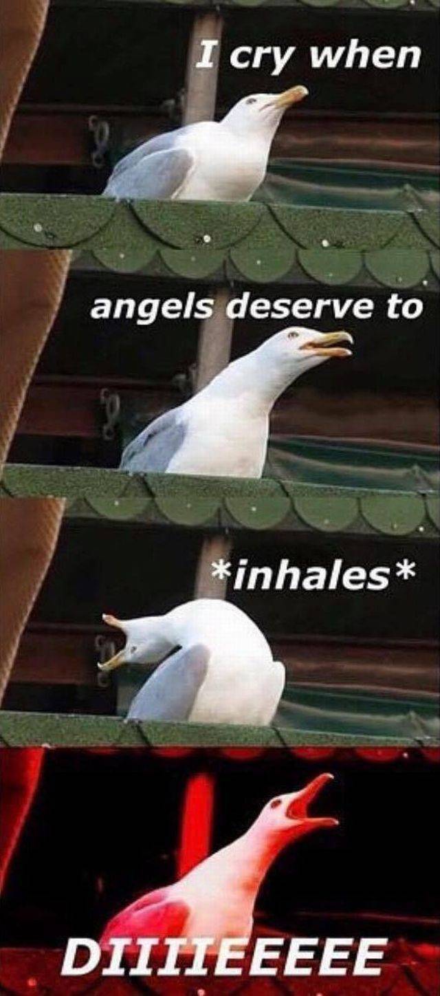 funny picdump 56 pics 22.html - 56 HD Photos | Premium Gallery 2017