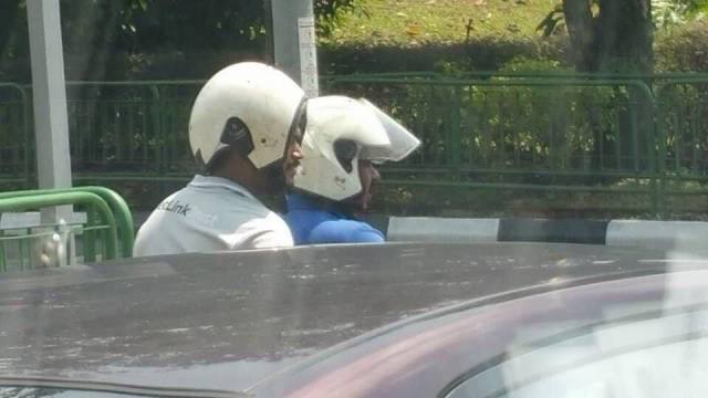 Daily Picdump