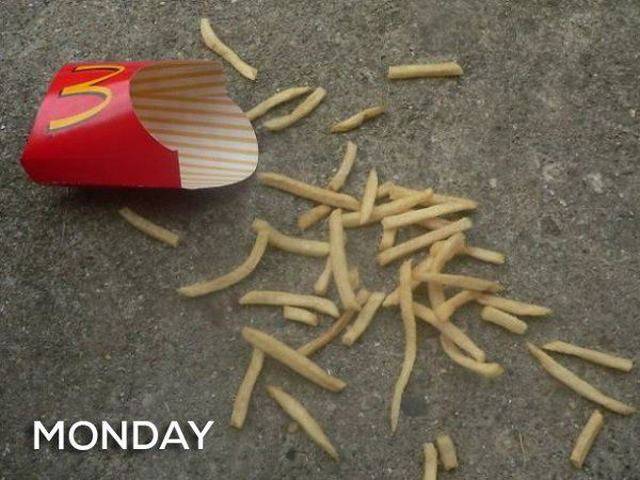 Daily Picdump
