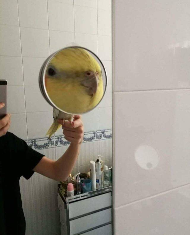 daily picdump 82 pics 4.html - 82 HD Photos | Premium Gallery 2017