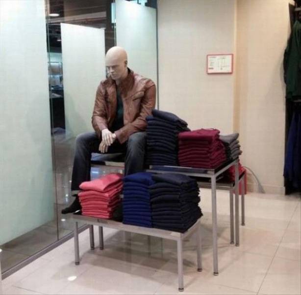 Morning Picdump