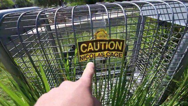 morning picdump 54 pics 14.html - 54 HD Photos | Premium Gallery 2017