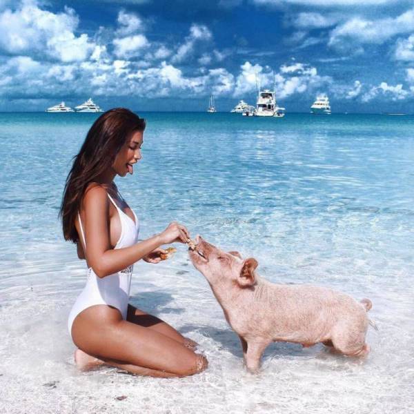 morning picdump 54 pics 14.html - 54 HD Photos | Premium Gallery 2017