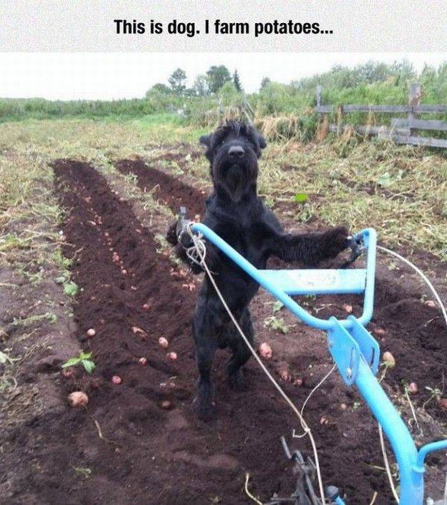 morning picdump 54 pics 14.html - 54 HD Photos | Premium Gallery 2017