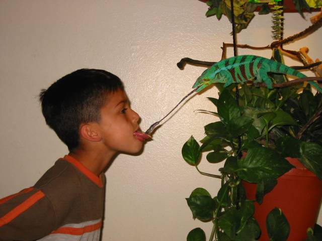 daily picdump 85 pics 7.html - 85 HD Photos | Premium Gallery 2017