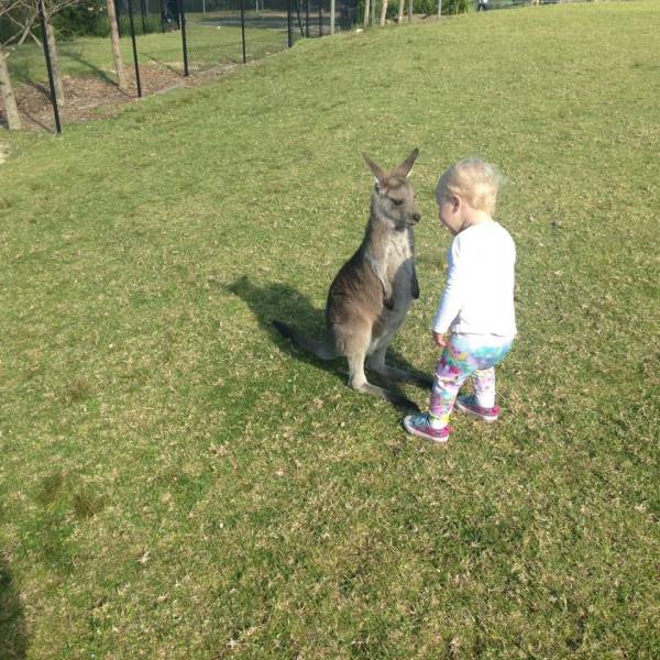 daily picdump 85 pics 7.html - 85 HD Photos | Premium Gallery 2017