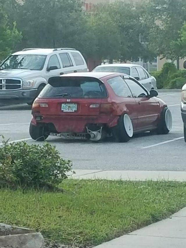 daily picdump 85 pics 7.html - 85 HD Photos | Premium Gallery 2017